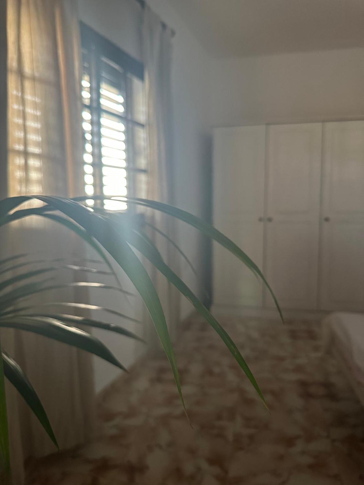Apartamento Fortaleza Vallehermoso Εξωτερικό φωτογραφία