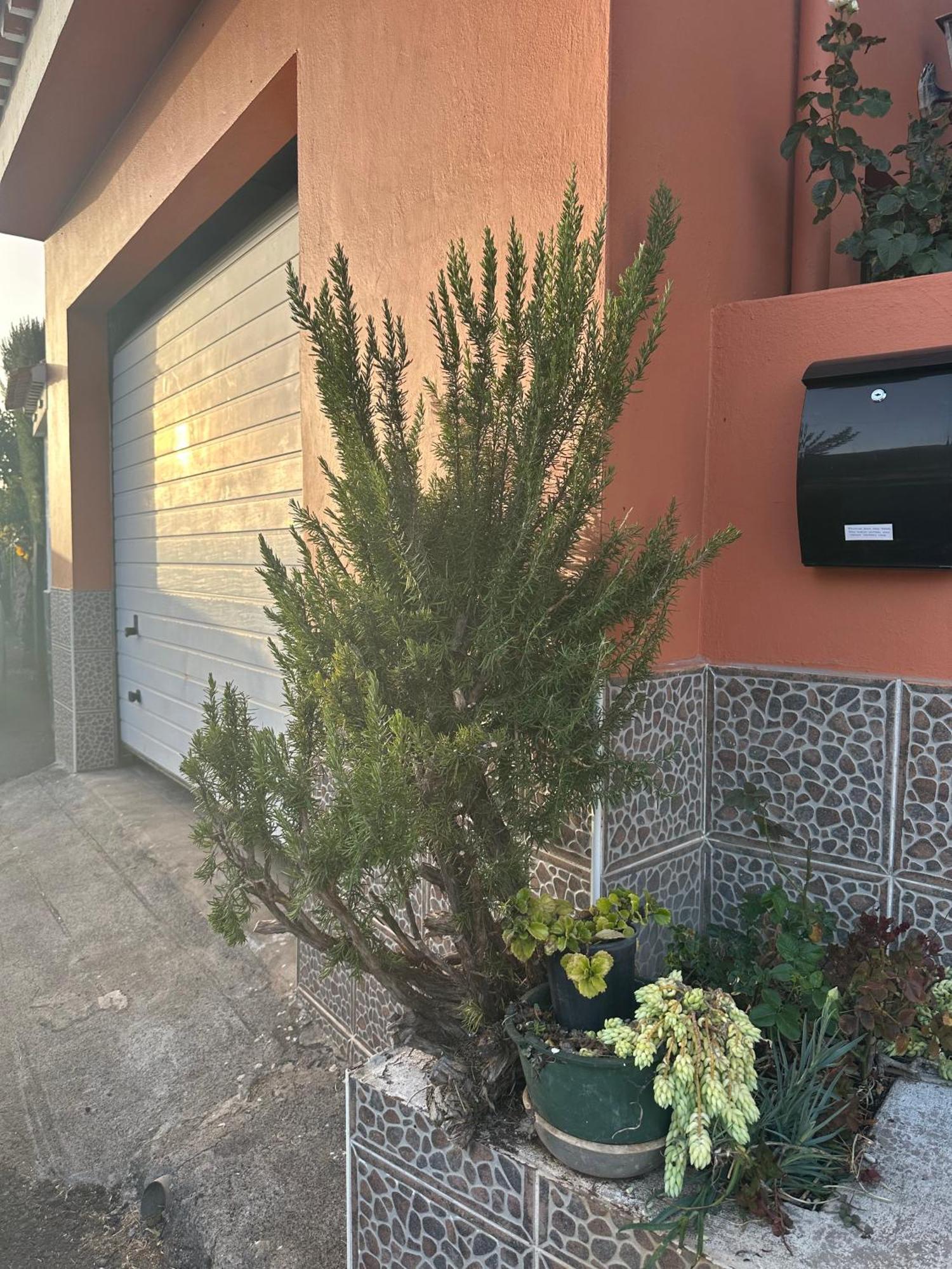 Apartamento Fortaleza Vallehermoso Εξωτερικό φωτογραφία